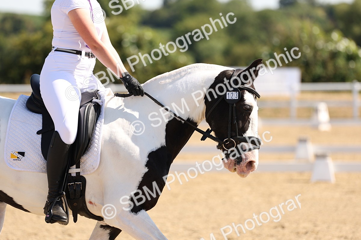 SBM_001009 - Intro 2