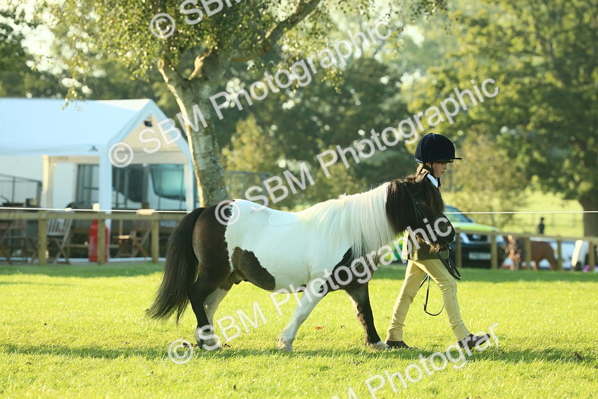 SBM_57283 - S37 - Starters In Hand Showing