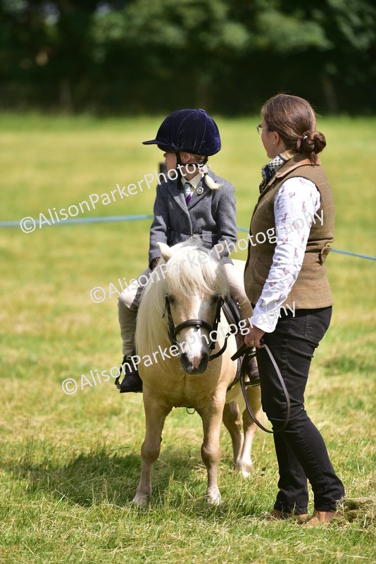 20260614-1199 - Class 11a - Lead Rein Pony (Unplaited)