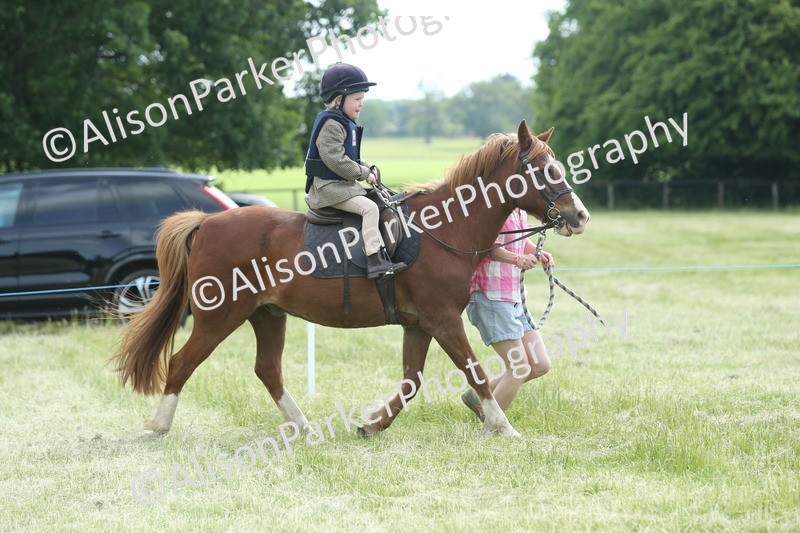 20260614-0159 - Class 1 - 30cm Lead Rein