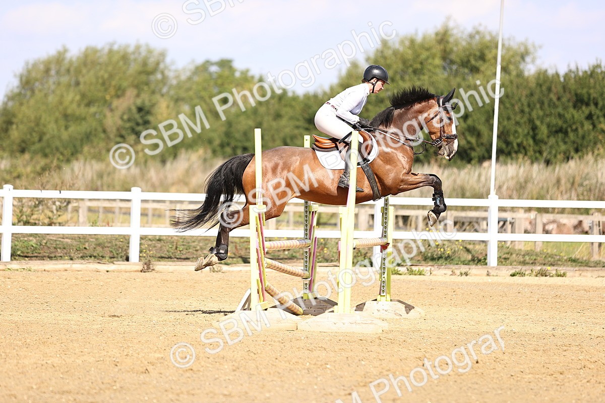 SBM_005697 - Class 9 - Senior British Novice - 90cm