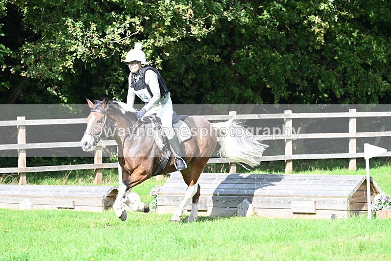 WJ7_4852 - 60cm Time 11:11 to 11:19