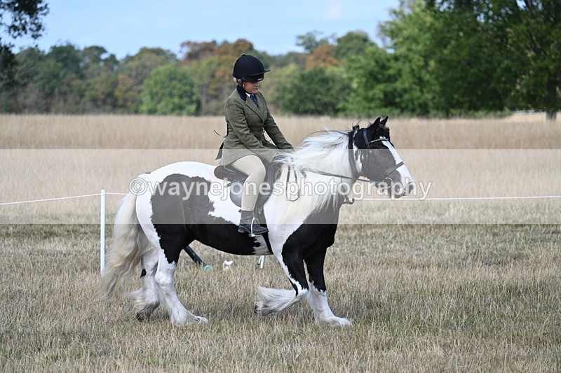 WJ7_6806 - Class 14 Ridden Coloured