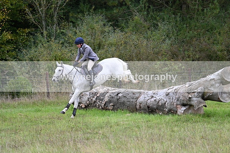 WJ7_3921 - Camera 1 Line 1