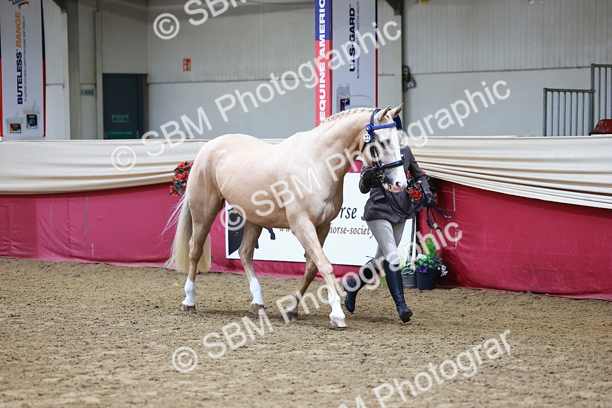 SBM_22128 - Class 902 - Supreme Final - IH Diamond