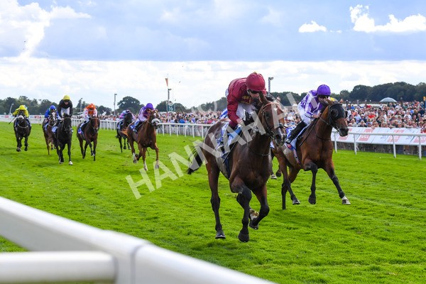 260823-Race 2-Middle Earth-0342 - Race 2 Sky Bet Melrose Handicap