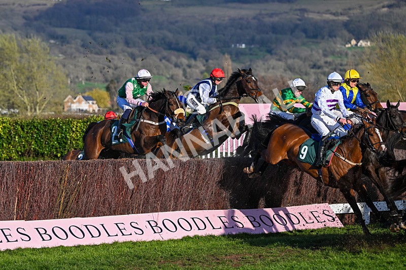 130326-Race 6-Willewonga-3170 - 13th March