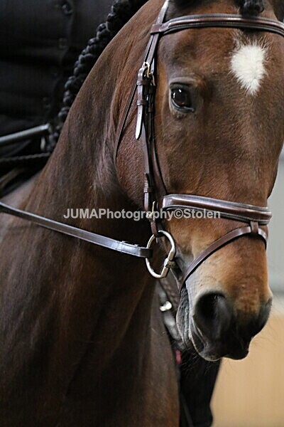 SIAL3115 - Sunday 14th Ridden