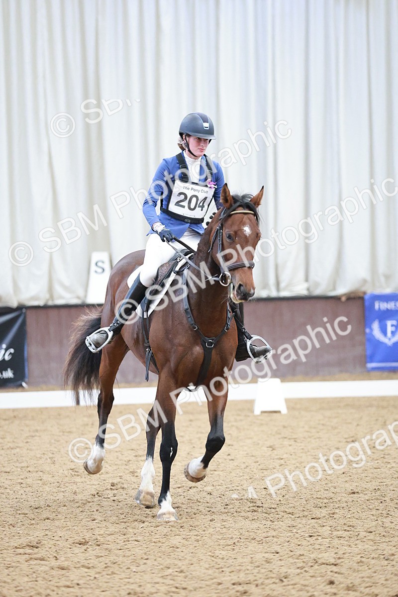 SBM_004307 - Class 2 - Novice 2020