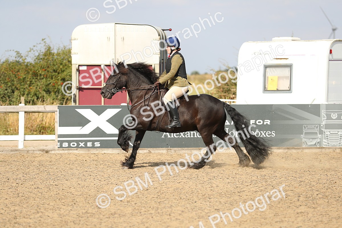 SBM_06864 - Class 49a Style & Performance 80cm (15-19)