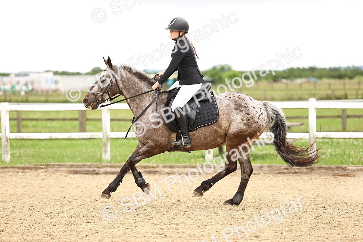 SBM_000407 - 60cm