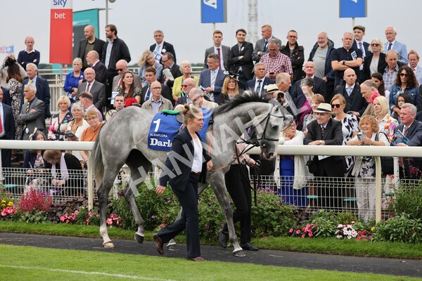 yr19082021r4-2 - Race 4 3.35pm Darley Yorkshire Oaks (British Champions Series race)