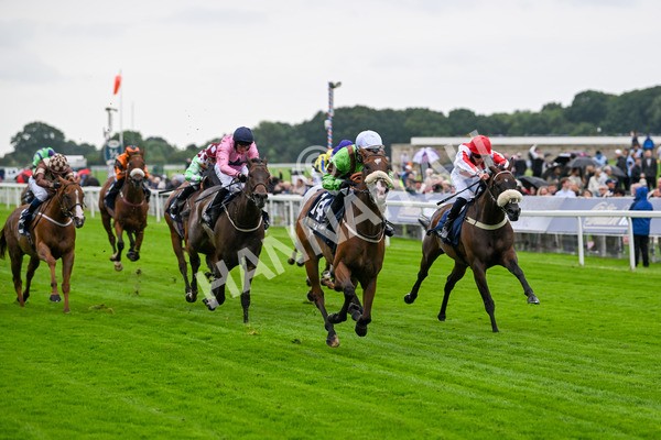 120724-Race 1-Tolstoy-5604 - Race 1 2.05pm William Hill Extra Place Races Daily Handicap