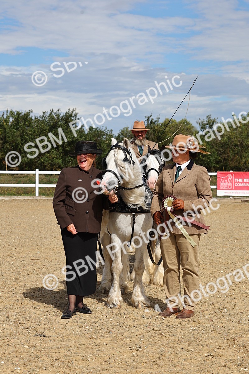 SBM_001256 - Class 16 - Pairs ,Multiples and Tandems