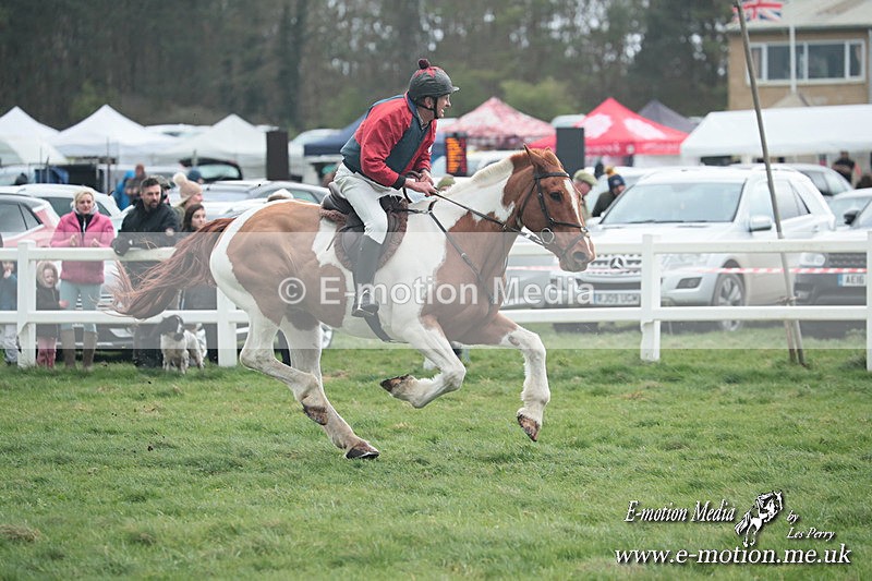 PtP 230324 116 - Tedworth Hunt PtP Larkhill Raccourse 23rd March 2024