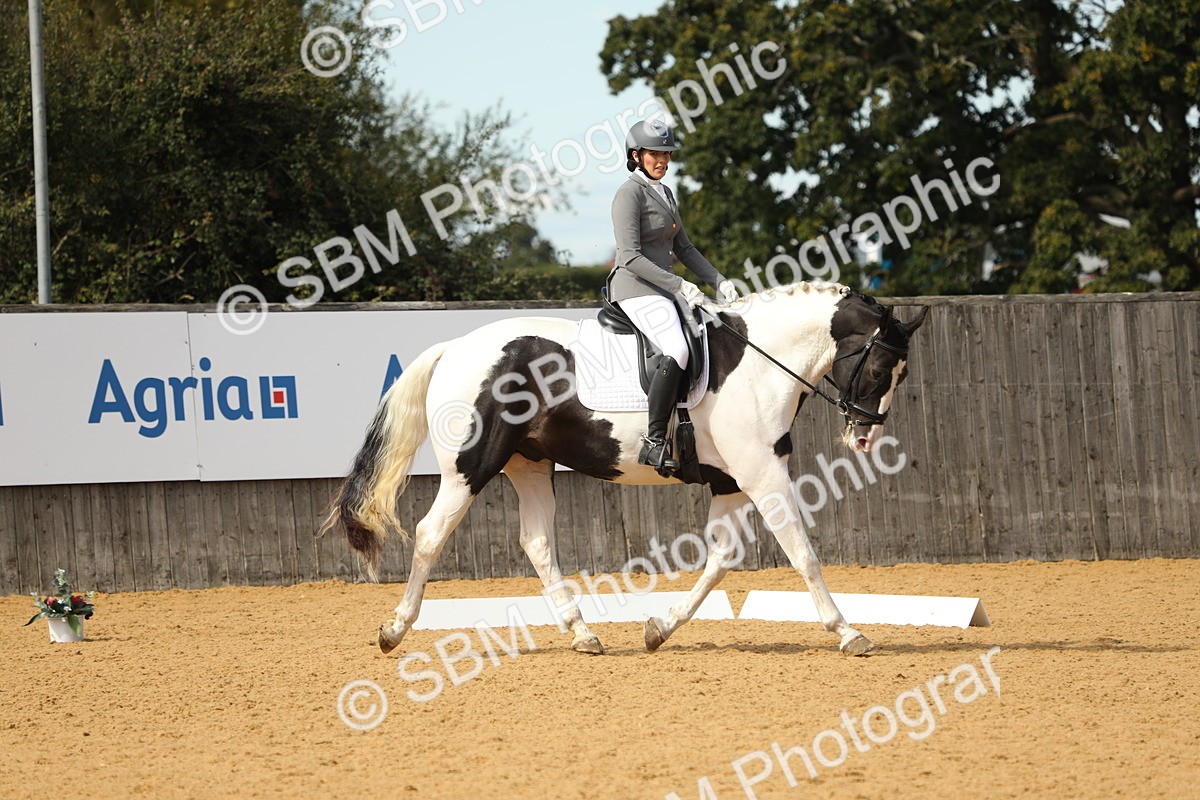 SBM_22232 - D17 - Grand Tour Championship - Novice 27