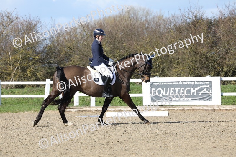 20260314-5054 - CT6 - Elementary 1