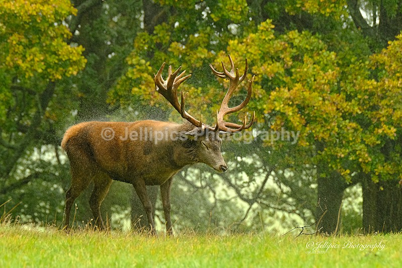  - Wildlife and Nature