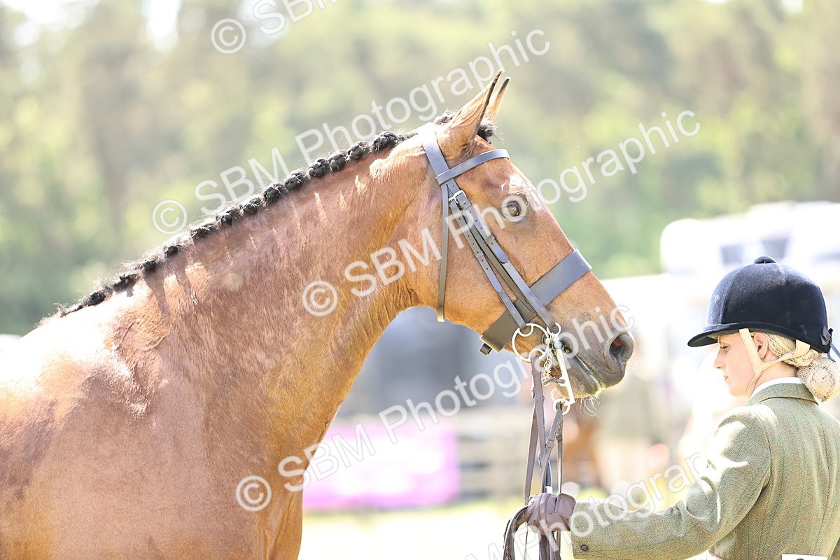 SBM_15216 - Class 79-80 - LIHS BSHA Rising Star Ridden Hunter