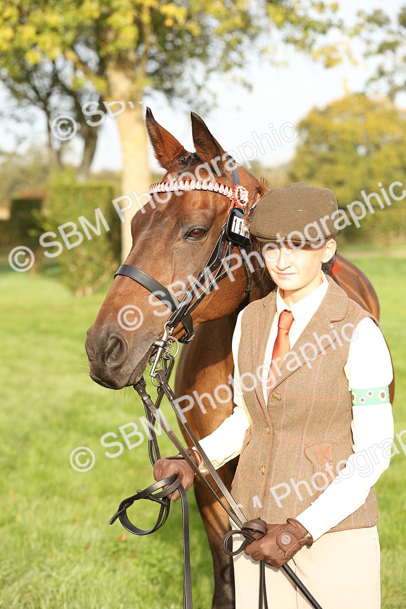 SBM_54986 - S52 - Riding Horse & Hack & thoroughbred In Hand