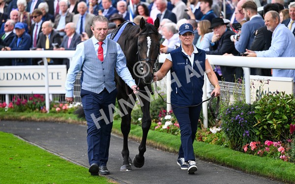 200825-134 Lambourn - Race 3 3.00pm Sky Bet Great Voltigeur Stakes