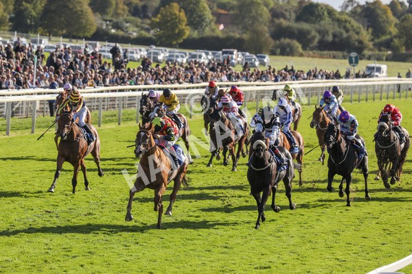 141023-Race 3-Montassib-0404 - Race 3 2.25pm Coral Sprint Trophy Handicap