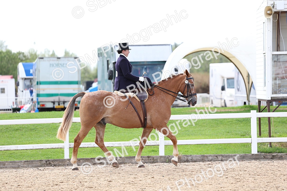 SBM_03188 - Class 22 - SSA Equitation (any age)