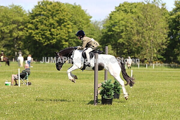 IMG_3812 - Working Hunter