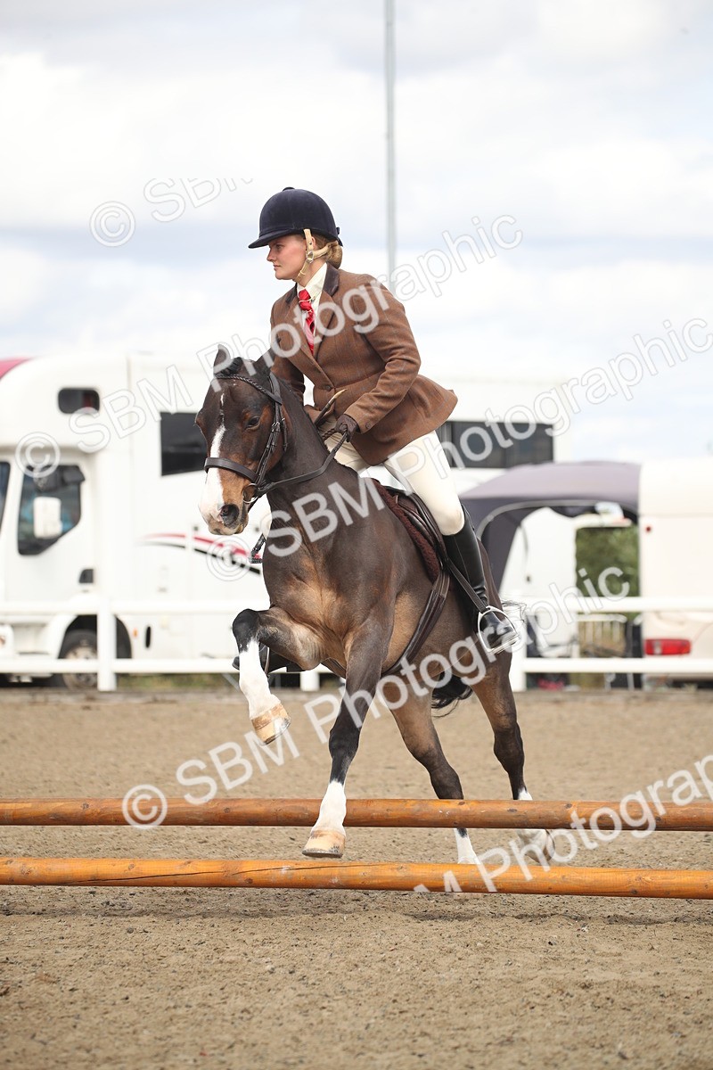 SBM_15263 - Class 506b - Working Veteran - 50cm (20+)