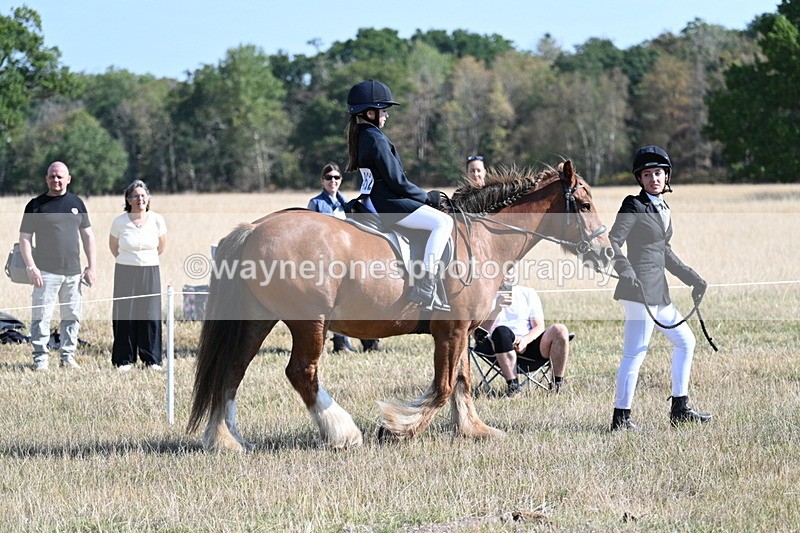 WJ7_3009 - Class 8 Ridden Tack & Turnout