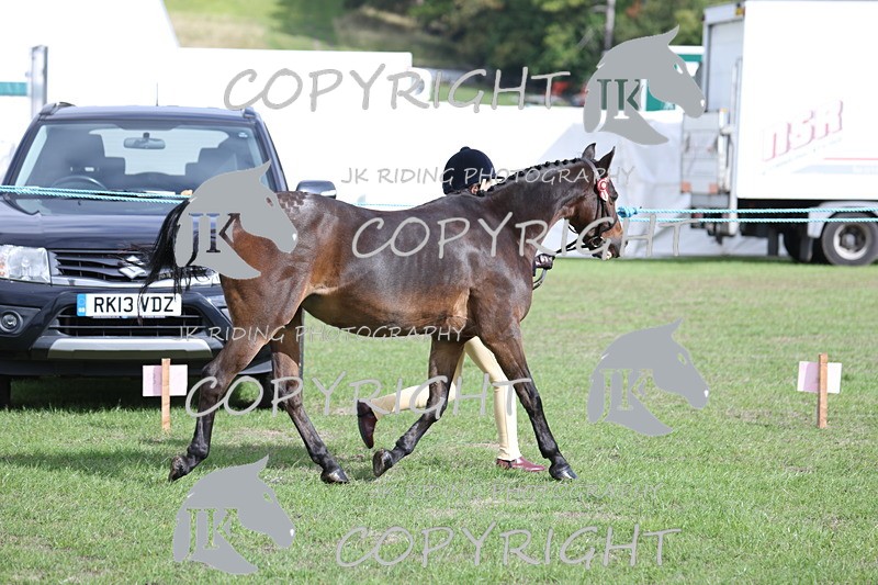 APP_2590 - Class 9 Veterans in hand