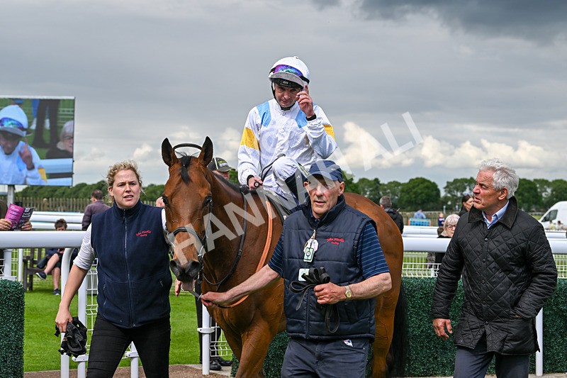 290524-Race 5-Distinction-6516 - Race 5