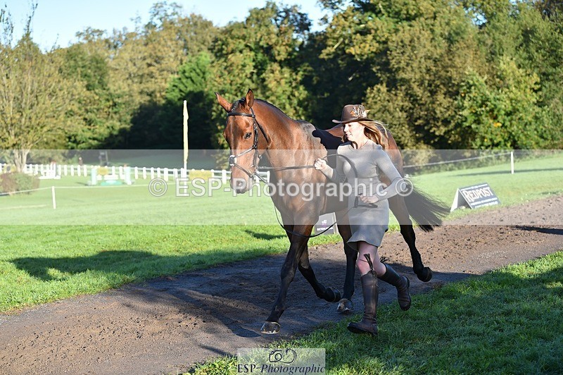 231022-092414-21761 - 617-MR.MISCHIEVOUS-Megan.Brown-TrotUp+SJ