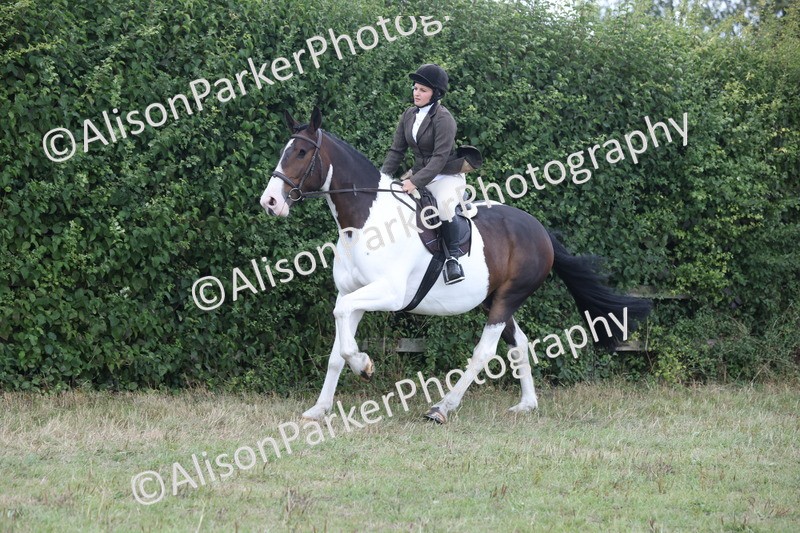 20250831-4272 - Class 20 - Ridden Coloured