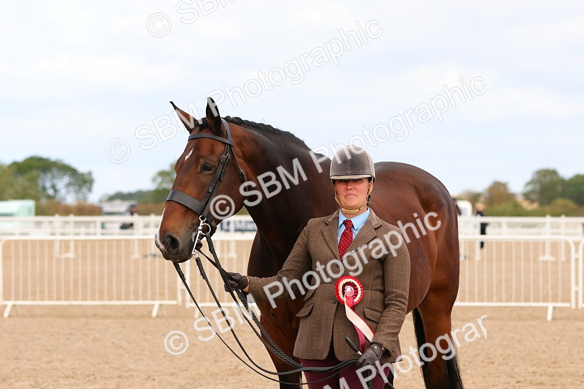 SBM_12362 - Class 210 - IH Show Horse