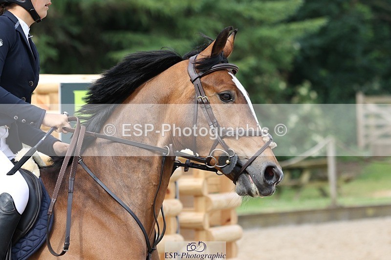 230617-093838-00798 - Cls 08a Pony 1.05