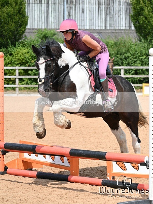 WJ7_6801 - Show Jumping at BCA