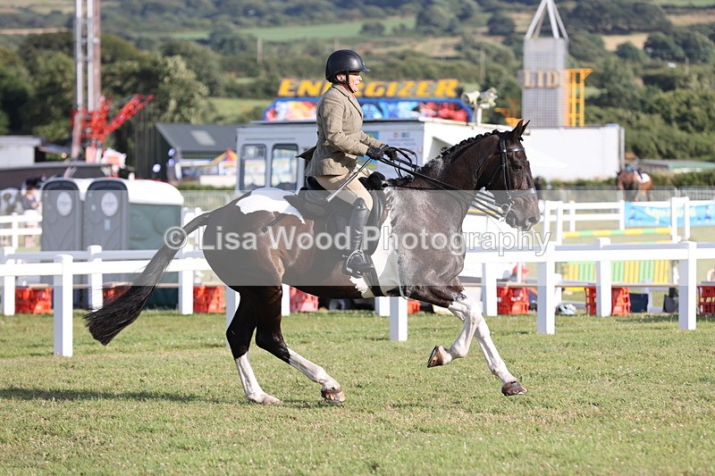 JPP_3457 - Class 22: Working Hunter 90cm