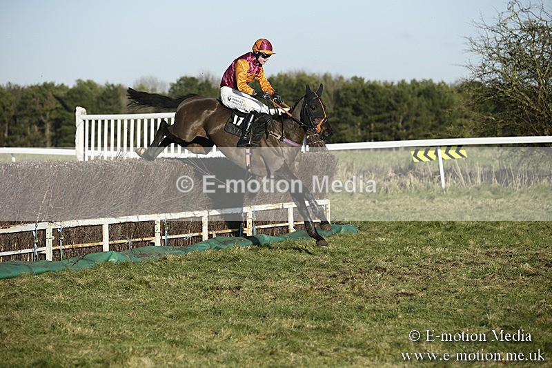 PtP 070118 -472 - Larkhill Racing Club Point to Point Larkhill 07/01/2018
