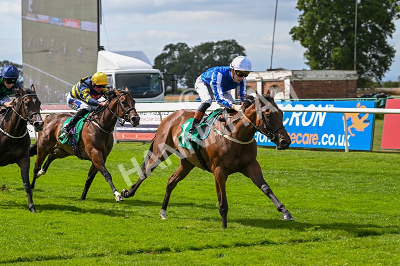 080825-Race 2-Daneh Of Dandy-2002 - Race 2