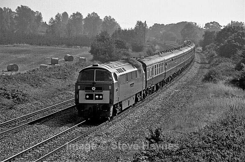 9th Aug 2003 - Creech St. Michael, Somerset.