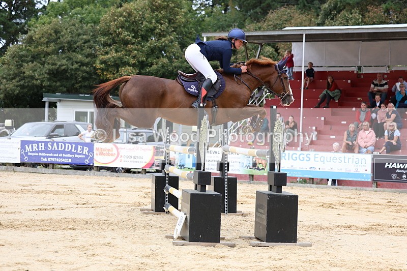 3E7A3366 - Class 9: Senior Foxhunter/1.20 open