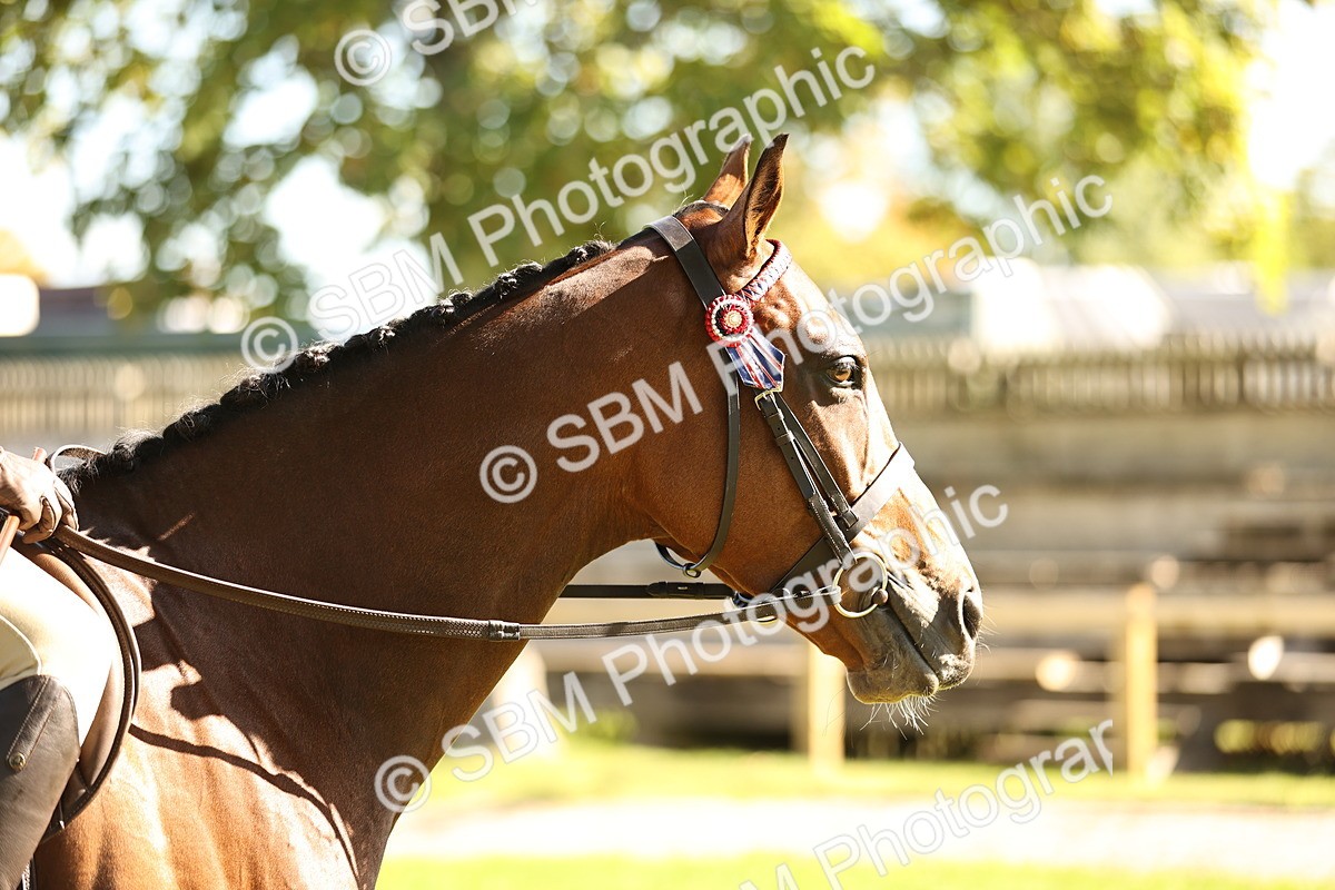 SBM_17028 - S2 - TSR Ridden Pony Showing