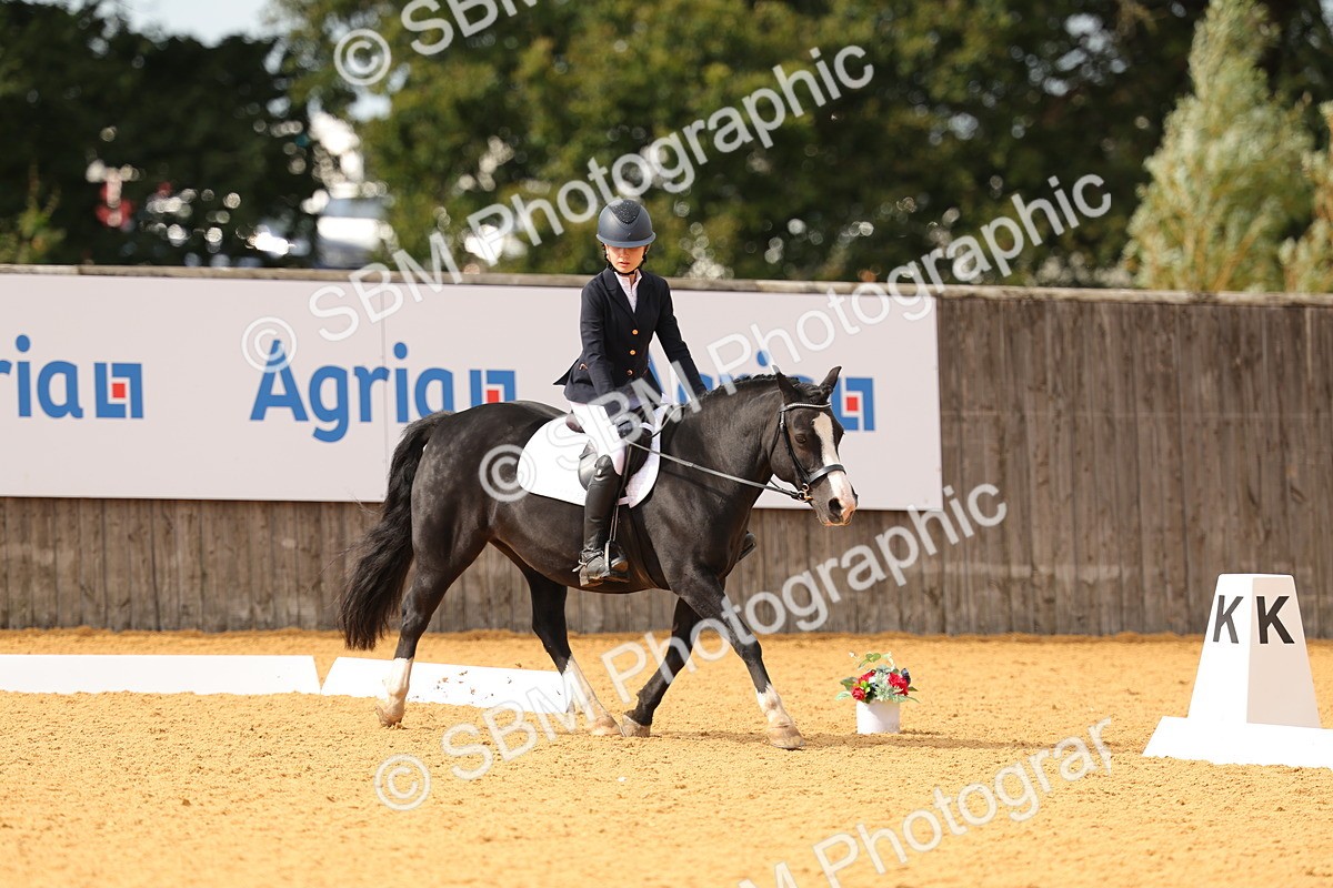 SBM_48210 - D22 - Junior Championship - Intro B