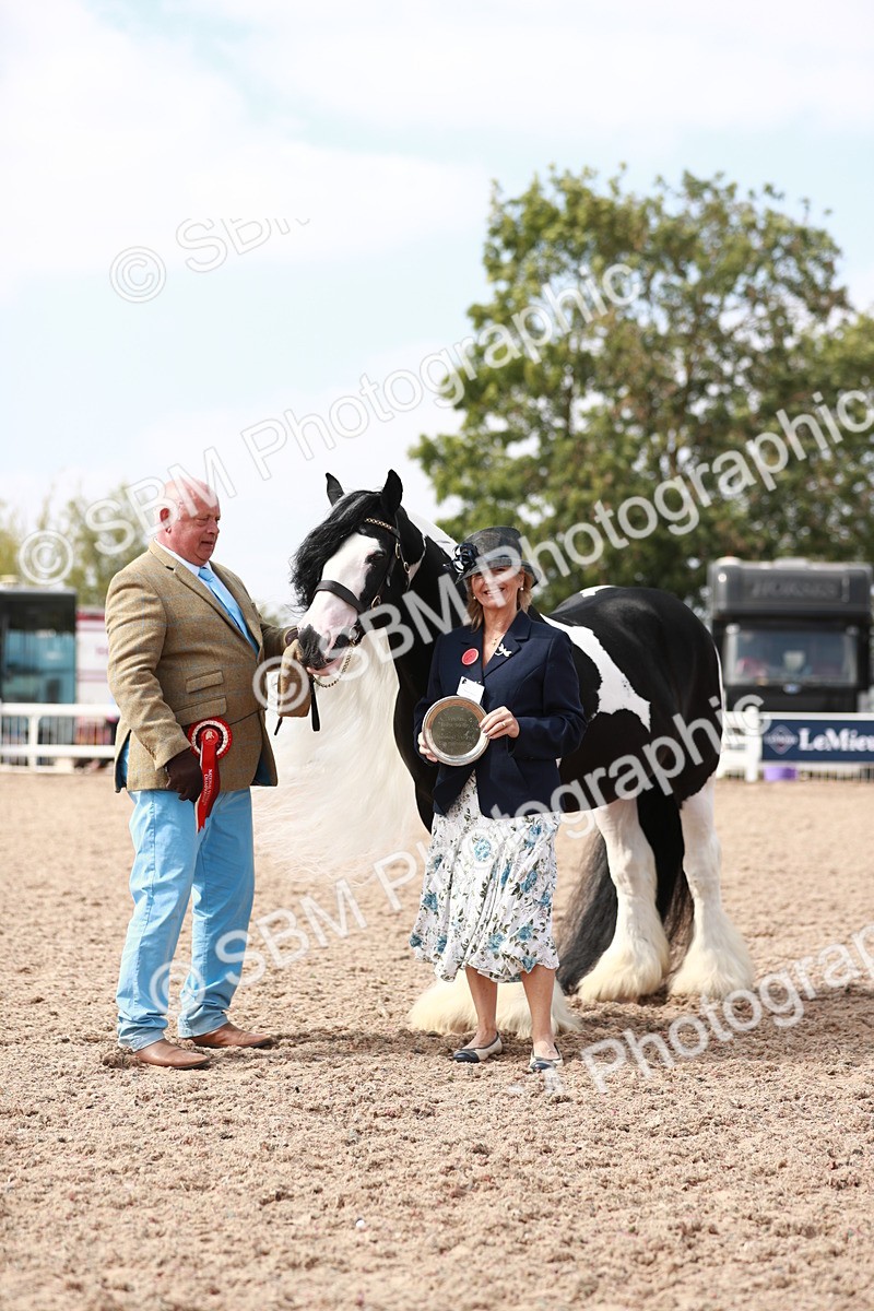 SBM_13945 - Class 209 IH Veteran Pony