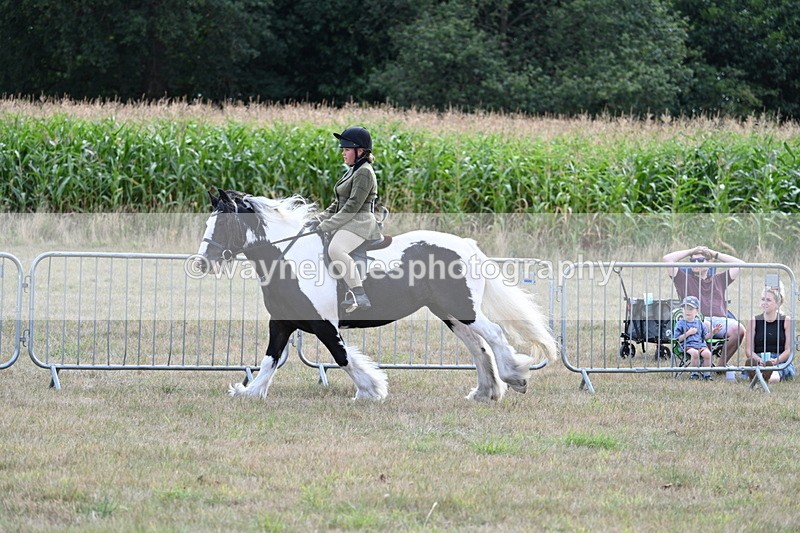 WJ7_6994 - Class 14 Ridden Coloured