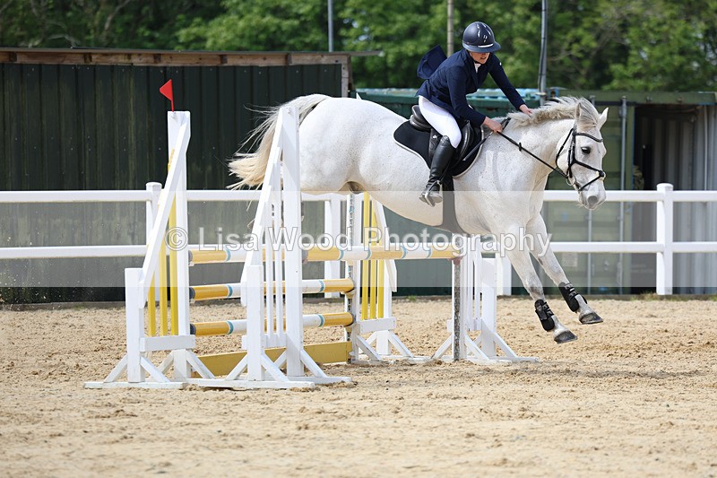 3E7A8832 - Class 4: Senior British Novice/90cm open