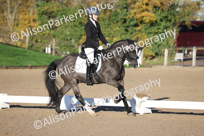 20251102-0197 - Class 2 - Prelim 6