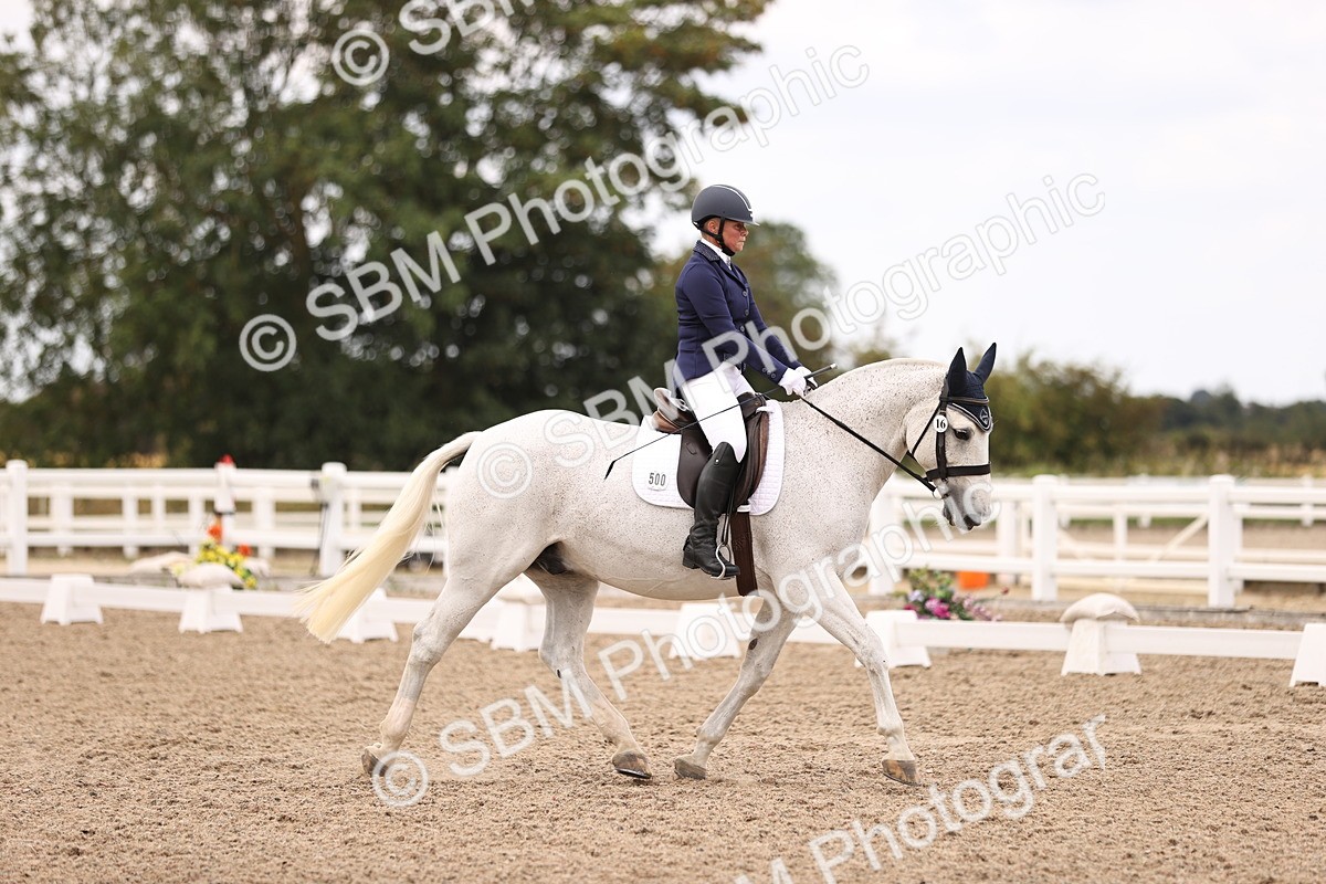 SBM_05929 - Class 37 Novice 5