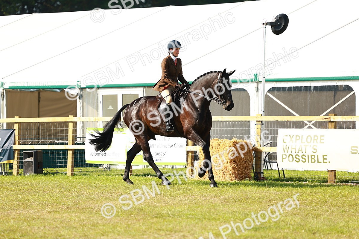 SBM_10888 - Class 66-69 - RIHS Ridden Hunters Inc Small Hunter